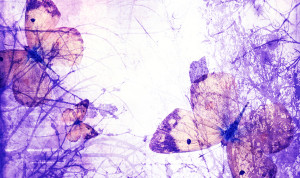 the_lost_butterflies_by_haunted_shadows17 resize3